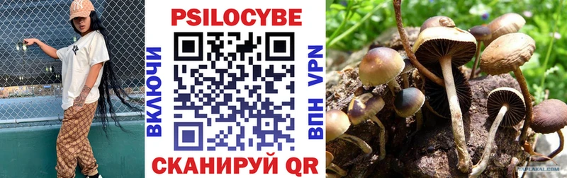 хочу наркоту  Новочеркасск  Галлюциногенные грибы Cubensis 